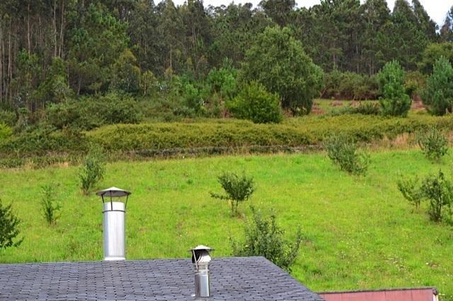 Apartamentos Rurales Casa Ron Coana ภายนอก รูปภาพ