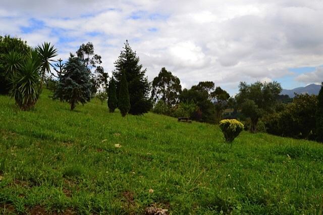 Apartamentos Rurales Casa Ron Coana ภายนอก รูปภาพ