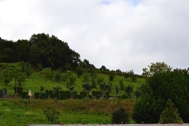 Apartamentos Rurales Casa Ron Coana ภายนอก รูปภาพ