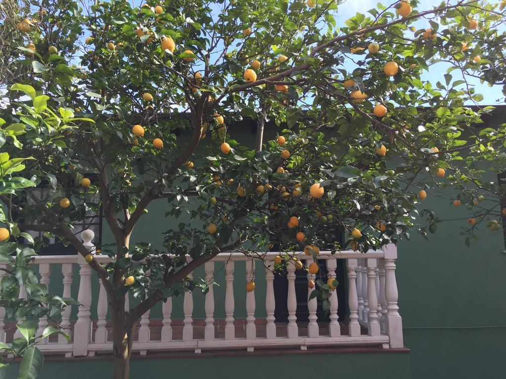 Apartamentos Rurales Casa Ron Coana ภายนอก รูปภาพ