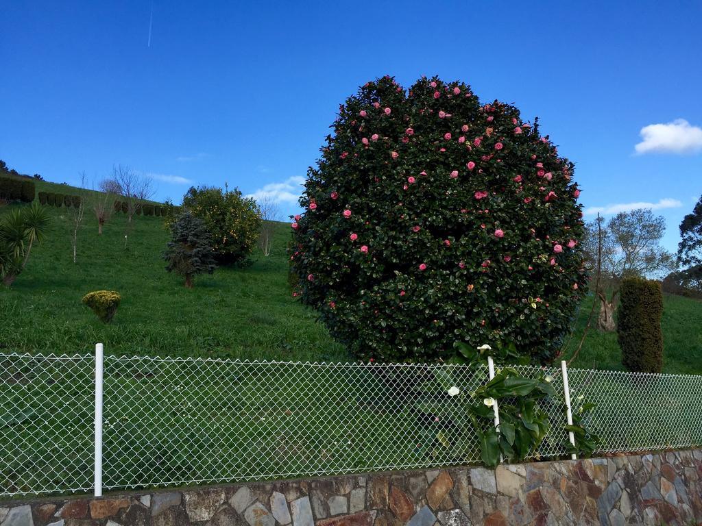 Apartamentos Rurales Casa Ron Coana ภายนอก รูปภาพ