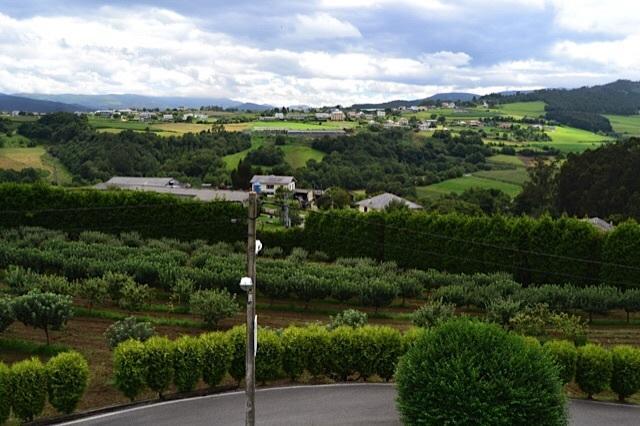 Apartamentos Rurales Casa Ron Coana ภายนอก รูปภาพ