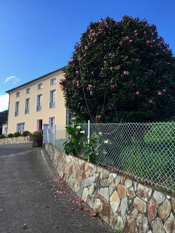 Apartamentos Rurales Casa Ron Coana ภายนอก รูปภาพ